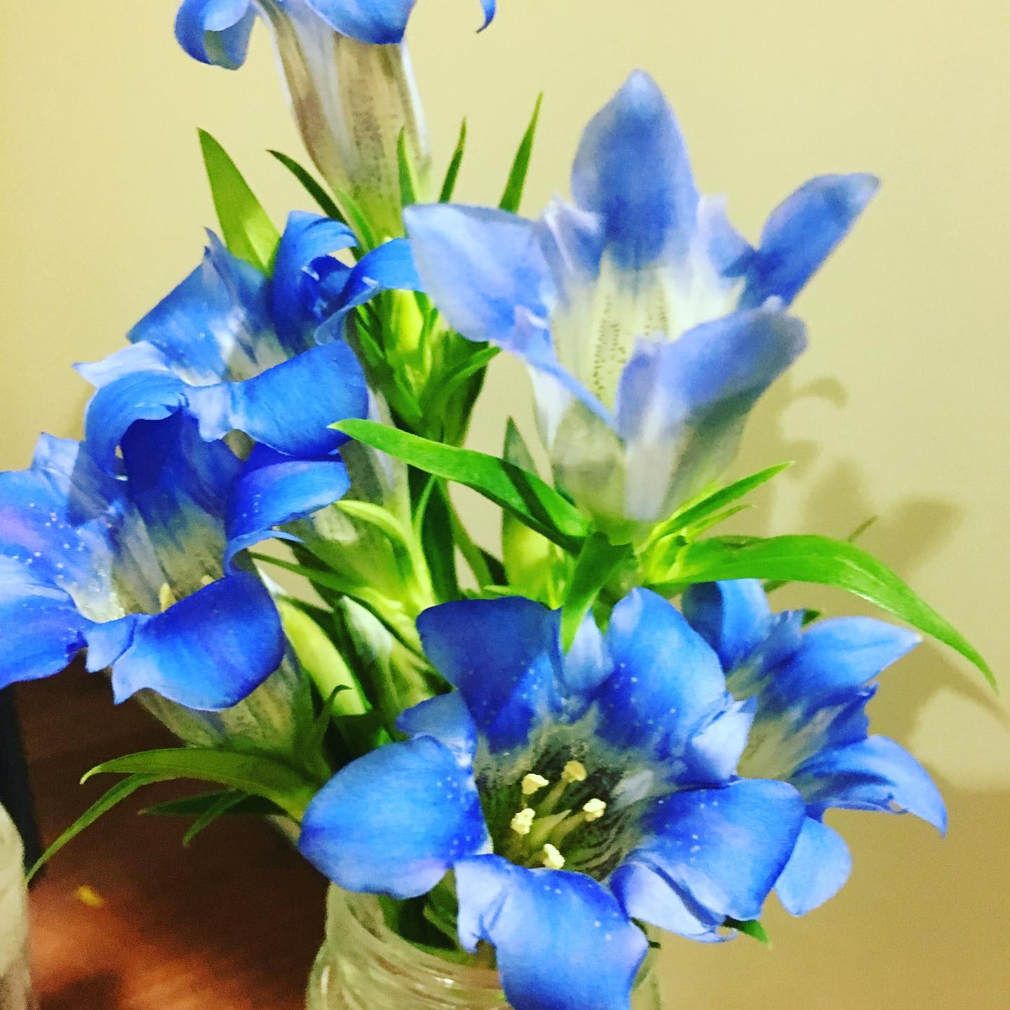 花倶楽部いなば

お花を買ったら小さな花束をプレゼントしてくれた！嬉しかった！可愛い！綺麗なお花ありがとうお兄ちゃん！
