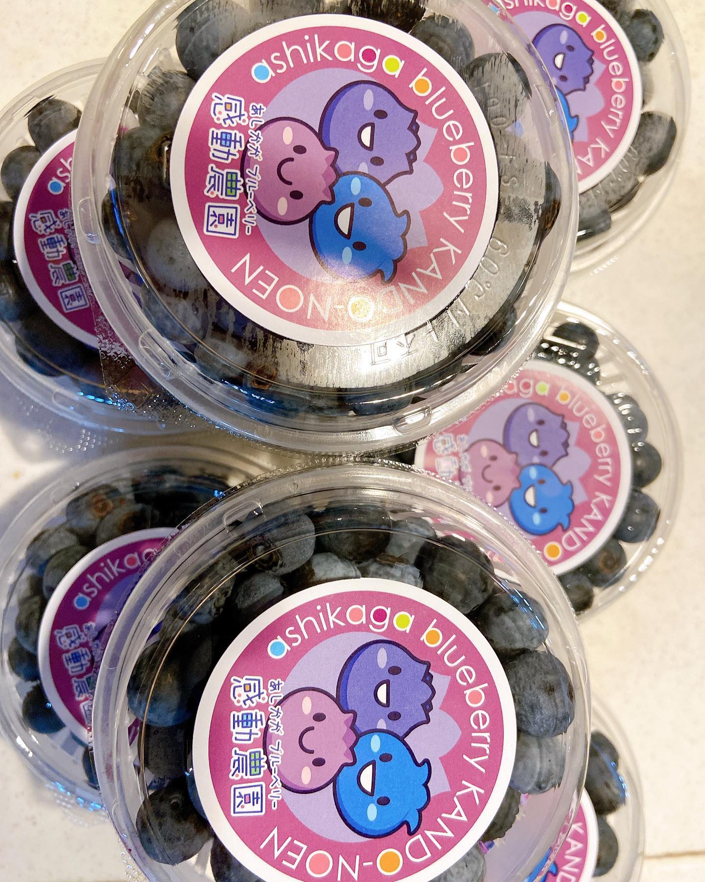 ブルーベリーを詰んで食べれる。ブルーベリーにも種類が沢山ある。
この品種の特徴は…って説明して貰いながら詰んで食べれるブルーベリー。
採れたて美味い！感動農園の意味わかった！すごく美味しいからおすすめです！