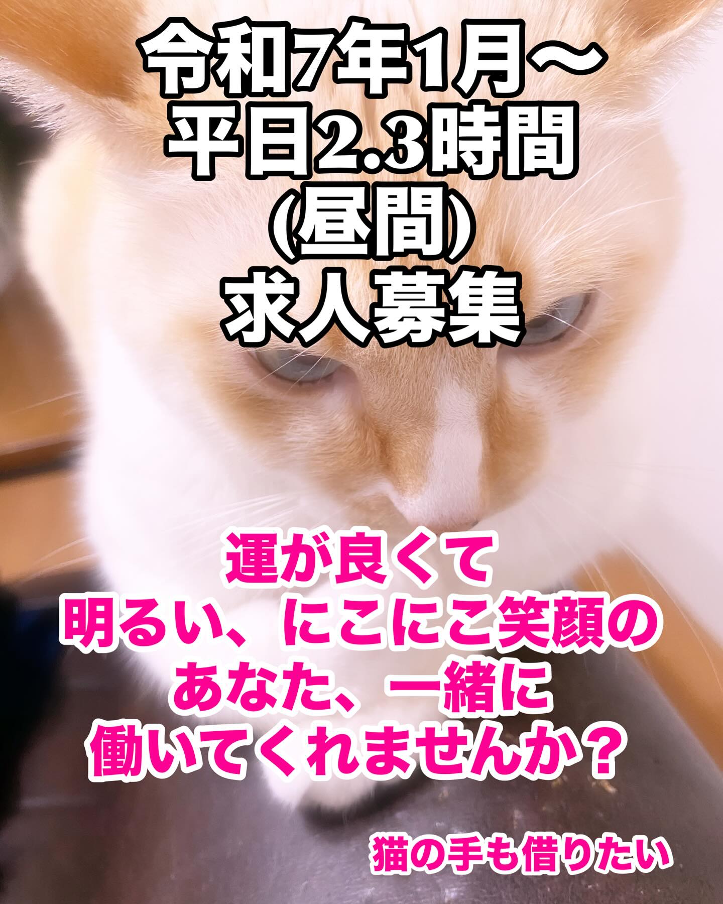 #塩レモンラーメン🍋  #塩レモンラーメン🍋