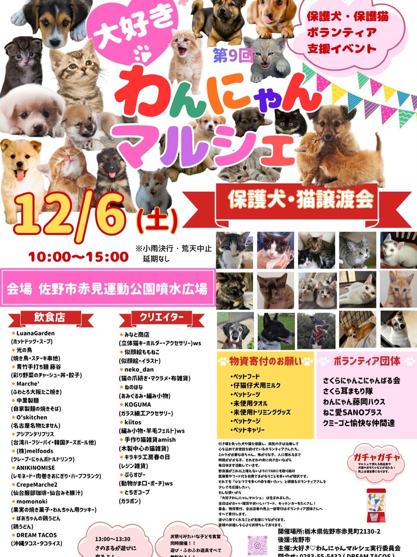 第9回  大好きわんにゃんマルシェ  ご案内
12月6日土曜日 赤見運動公園  噴水広場

こちらのマルシェは、マルシェ出店者様に売上の一部を寄付していただき、保護猫犬ボランティア団体様に全て寄付をしています。その他、会場募金、フードやシートなどの物資寄付も全てボランティア団体様にお渡ししています。
譲渡会におきましては各団体様のルールに従って、ずっとのおうちずっとの家族を探しています。
毎回沢山のお客様にご来場いただき、新しい家族が見つかり
小さな命が大きな愛情で救われるイベントとなっております。

今回も沢山のお客様のご来場、心よりお待ちしております！

主催 DREAM TACOS @dream.tacos.2020