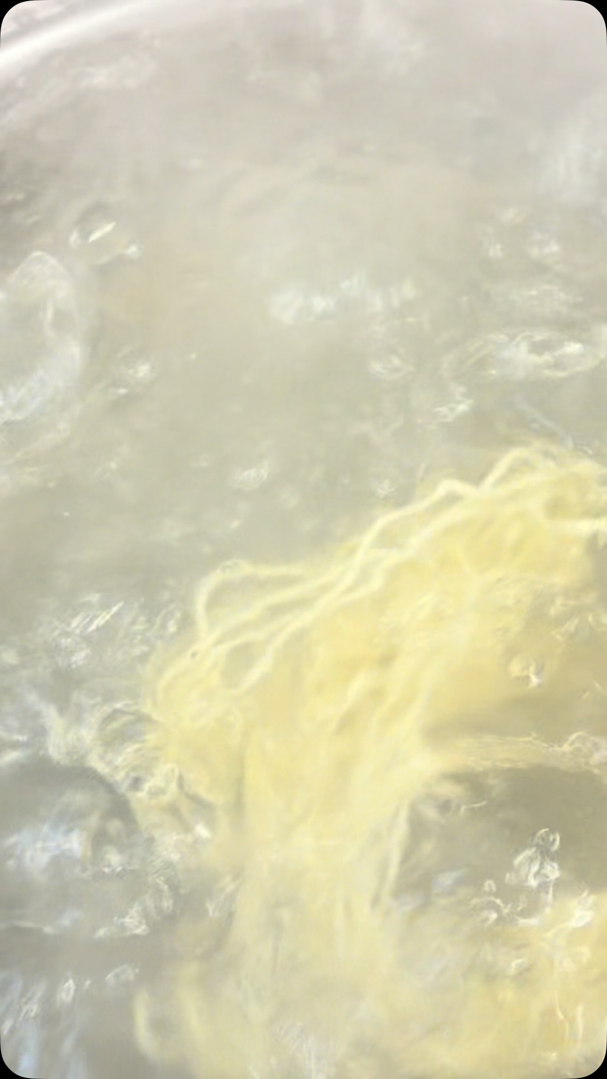 佐野駅近3分、年間1万杯作る元祖レモンラーメン

つるつるで、もちもちです！
⁡

#塩レモンラーメン🍋