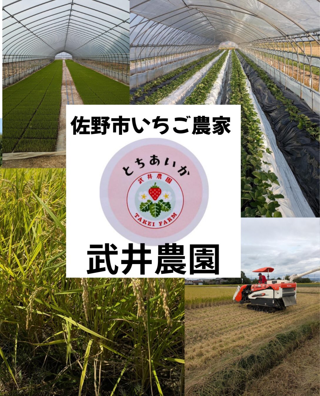 11月1日（日）みかも山 東口広場
大好きわんにゃんマルシェ
and
お祭りみたいな子ども食堂
⁡
お祭りみたいな子ども食堂に
お米30kg  ご寄付をいただきました。。。
⁡
武井農園様は
過去にもいちごのご寄付をくださいました。。
いつも優しいお気持ち感謝いたします
⁡
ありがとうございます。。。
@takei_farm